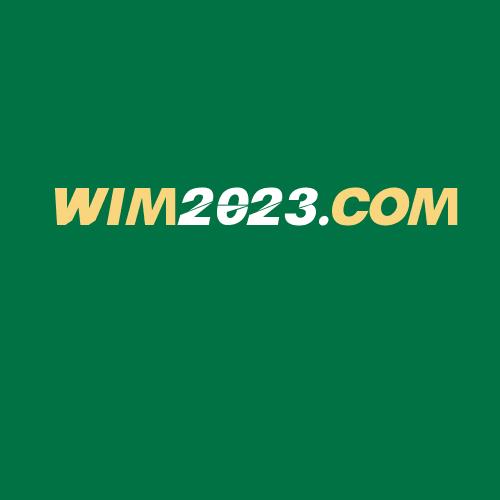 Logo da WIM2023